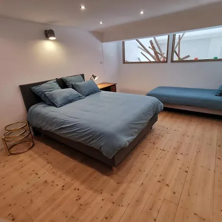 Apartamento Ancien Magasin Type Loft 145 M2 Centre